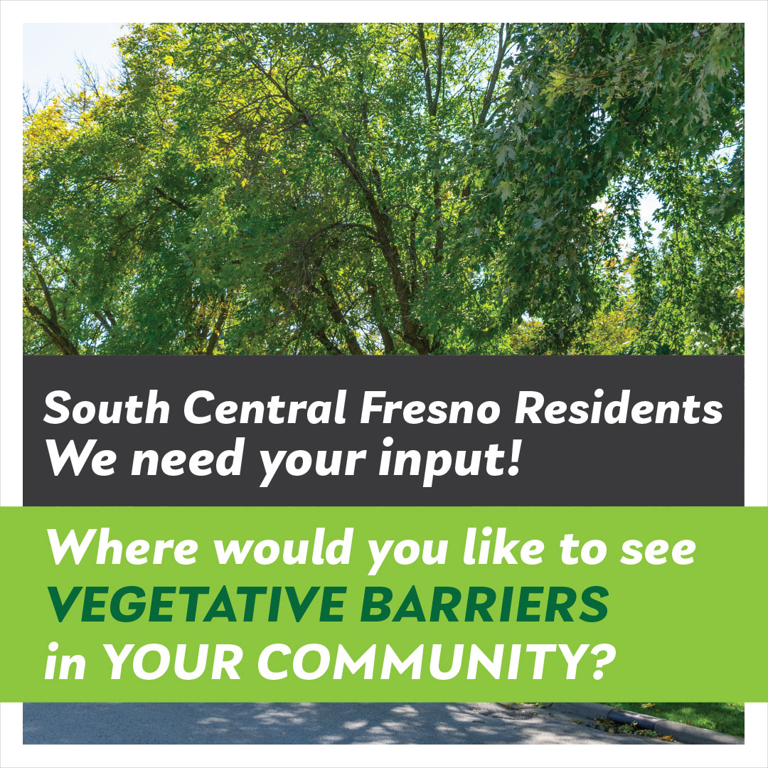 Where would you like to see vegetative barriers in your community