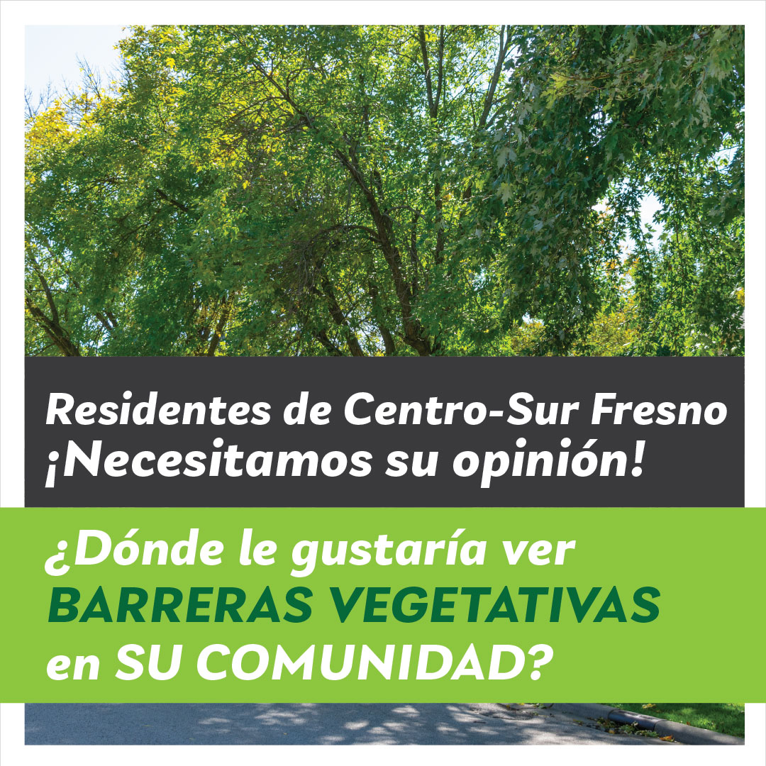 Where would you like to see vegetative barriers in your community - Spanish